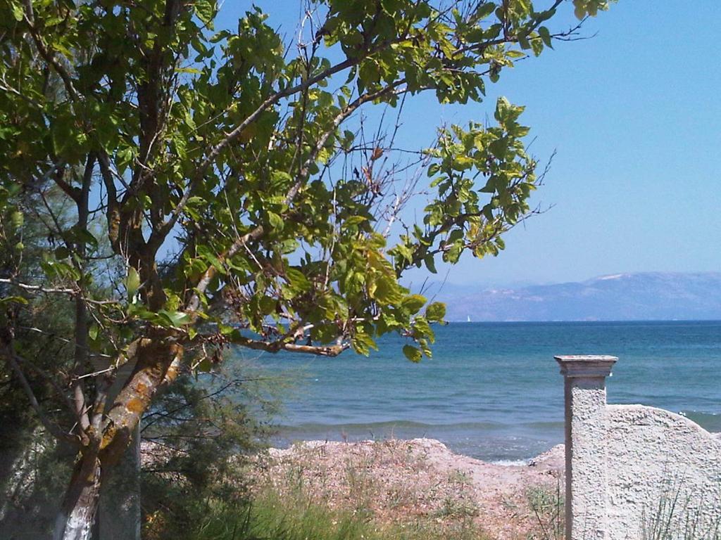 קאבוס Virginia'S Beachfront Apartments מראה חיצוני תמונה