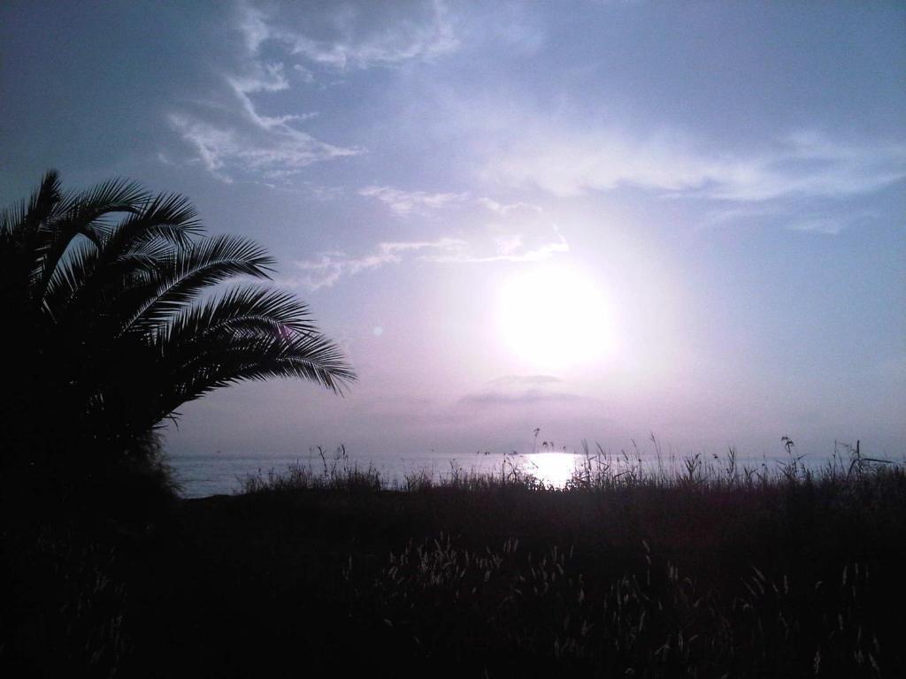 קאבוס Virginia'S Beachfront Apartments מראה חיצוני תמונה